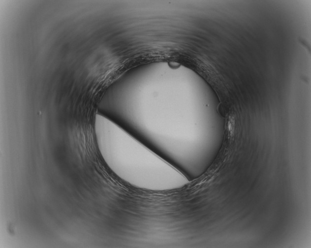 X0000099950867200805230959