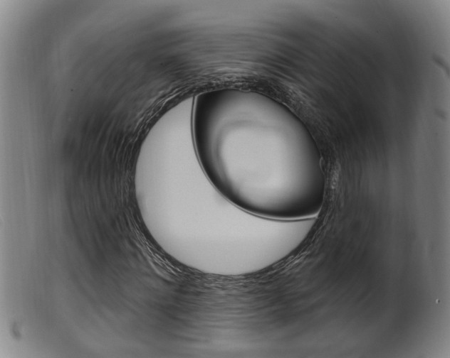 X0000099950868200805230959
