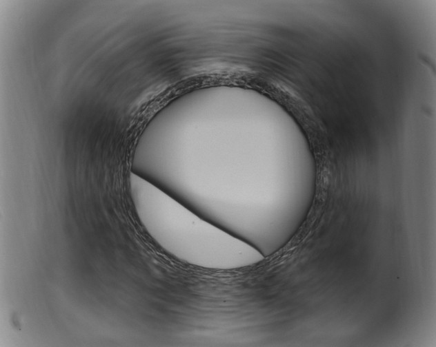 X0000099950869200805230959