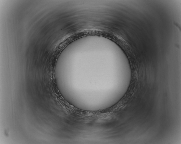 X0000099950870200805230959