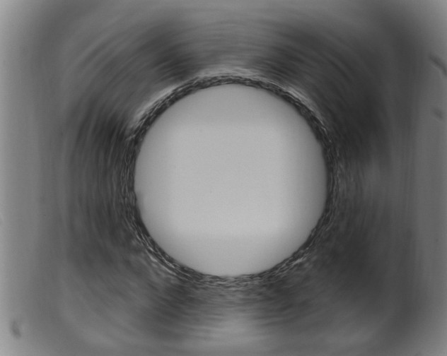 X0000099950872200805230959