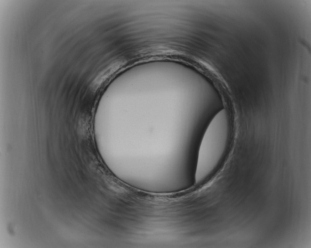 X0000099950873200805230959