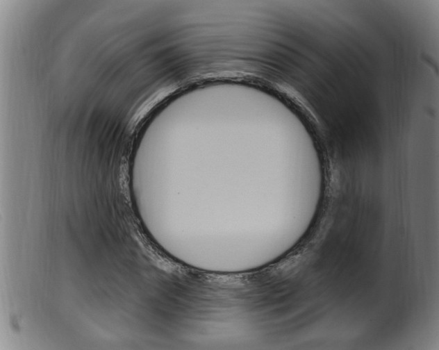 X0000099950874200805230959