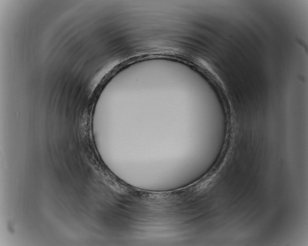 X0000099950875200805230959