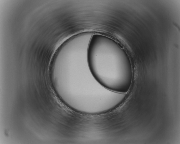 X0000099950876200805230959