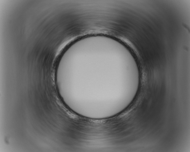 X0000099950878200805230959