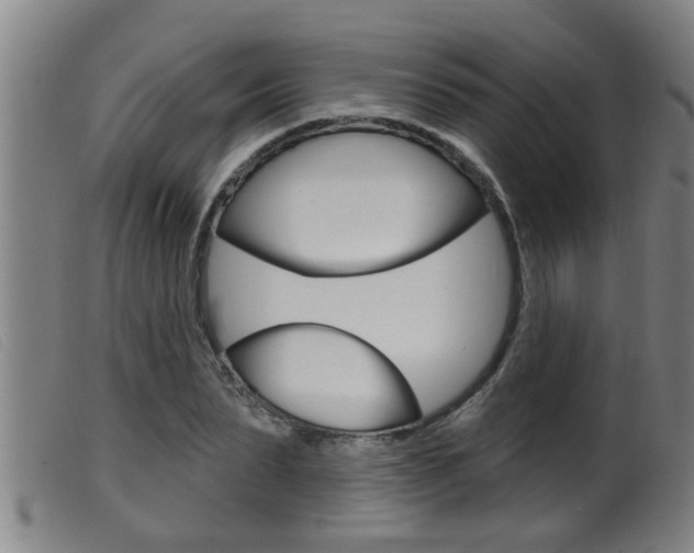 X0000099950879200805230959