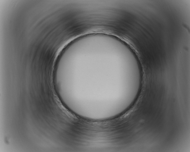 X0000099950880200805230959
