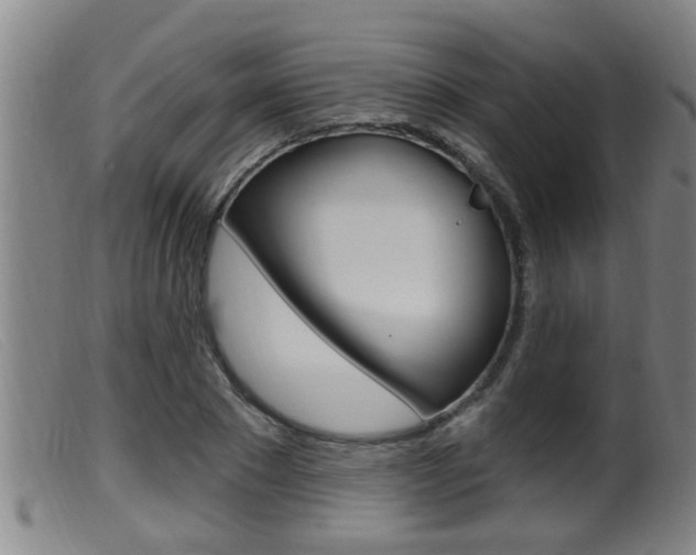 X0000099950881200805230959