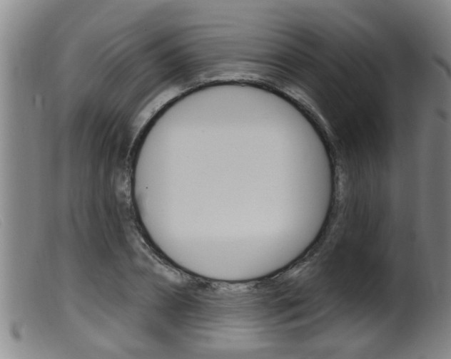 X0000099950882200805230959