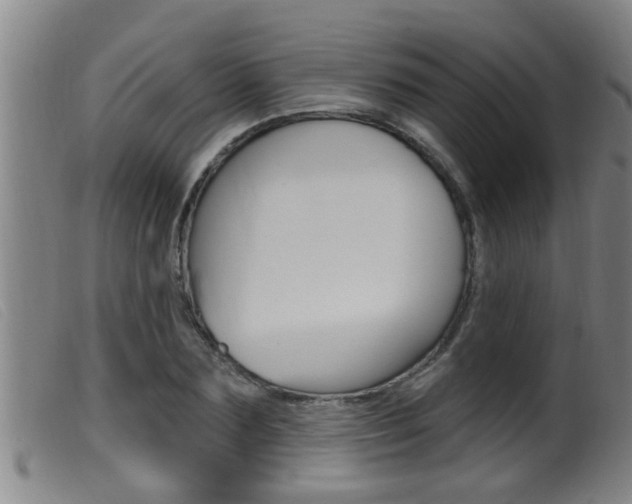 X0000099950883200805230959