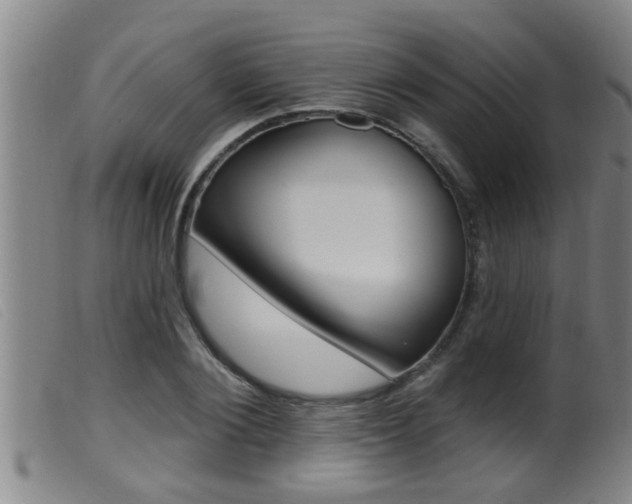 X0000099950884200805230959