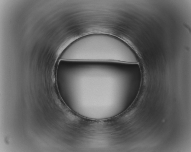 X0000099950885200805230959