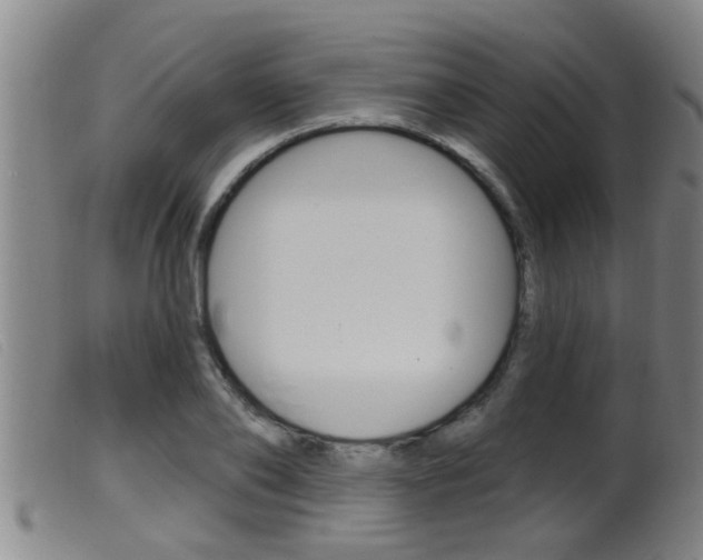 X0000099950886200805230959