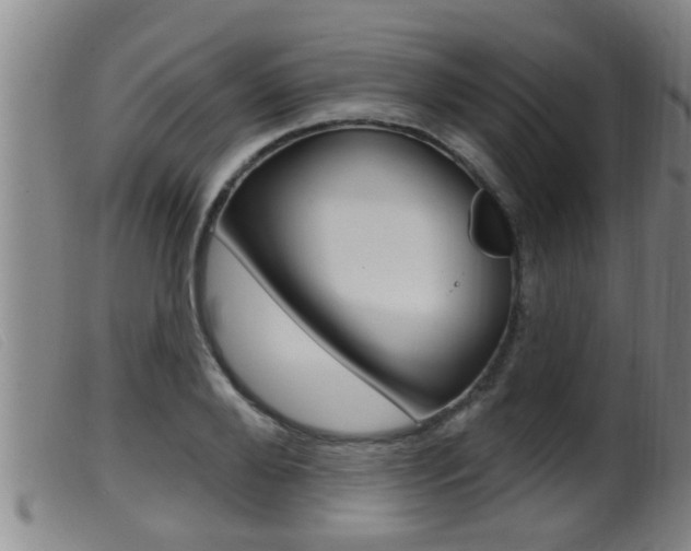 X0000099950888200805230959