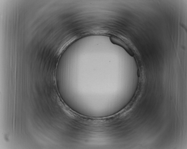 X0000099950889200805230959
