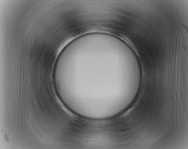 X0000099950893200805230959