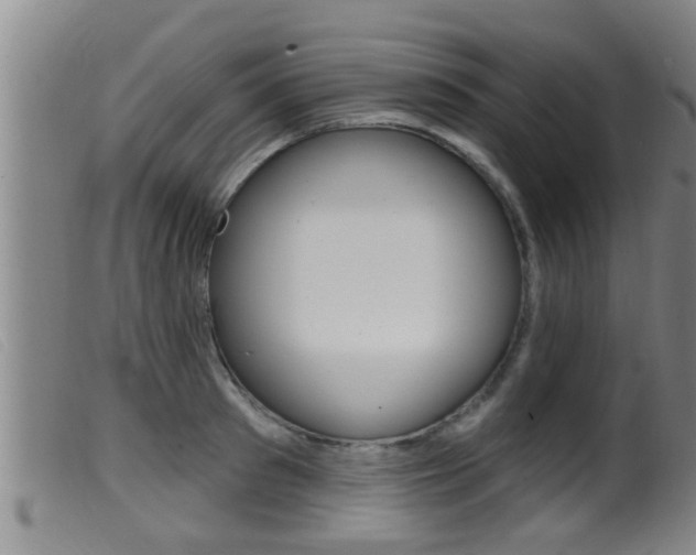 X0000099950897200805230959