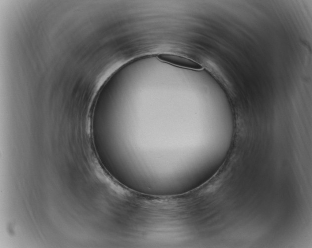 X0000099950900200805230959