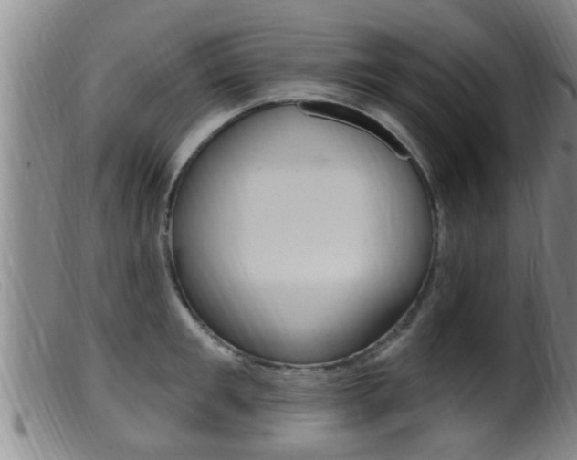 X0000099950901200805230959