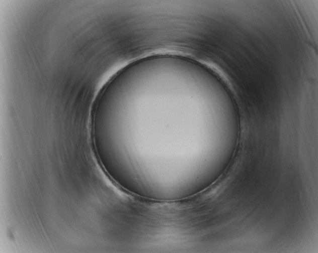 X0000099950902200805230959