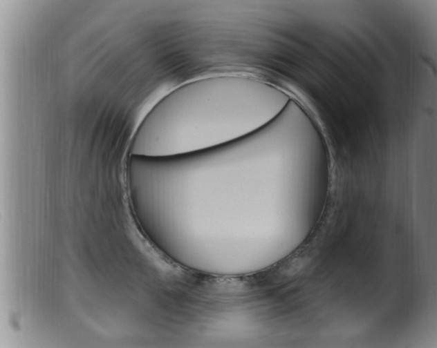 X0000099950907200805230958