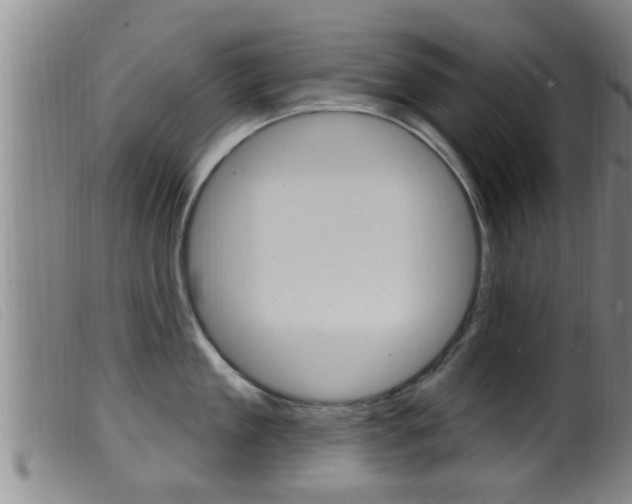 X0000099950909200805230958