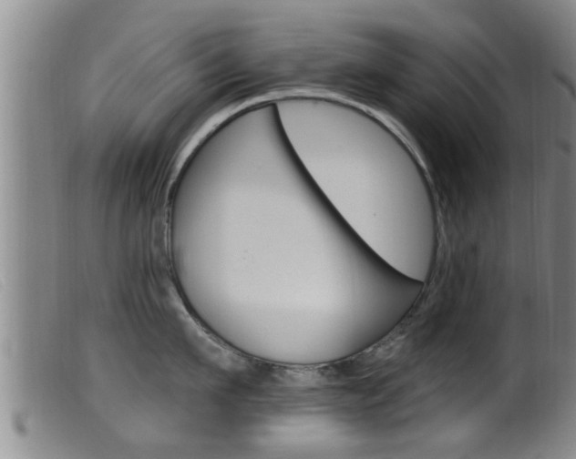 X0000099950911200805230958