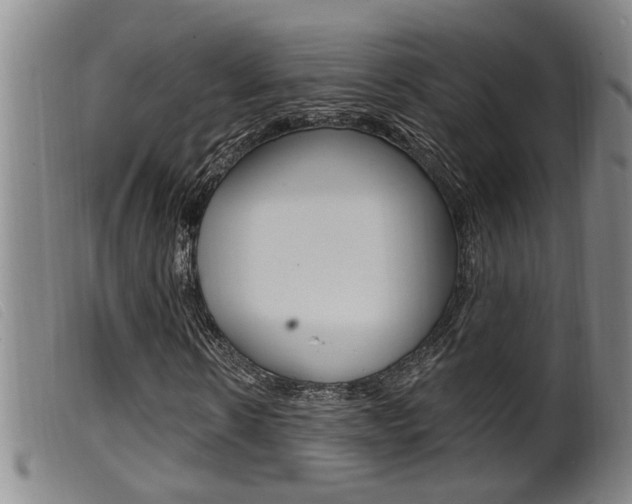 X0000099950914200805230958