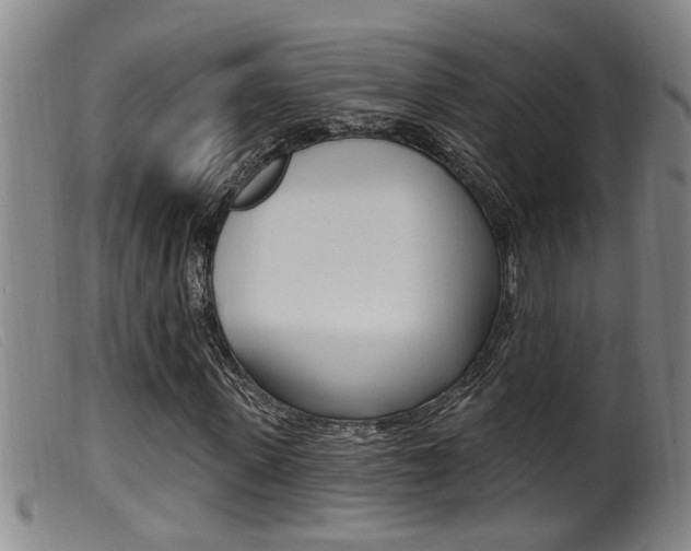 X0000099950915200805230958
