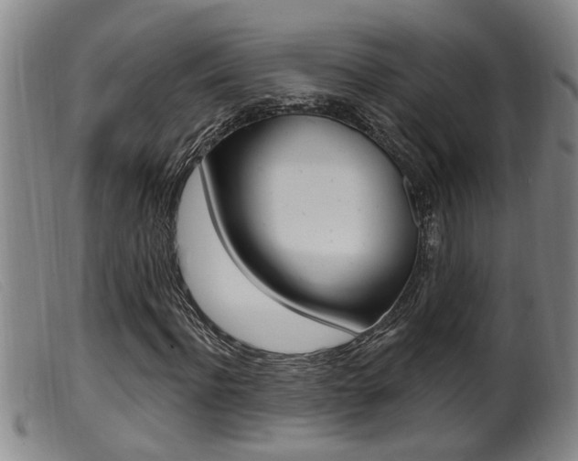 X0000099950916200805230958