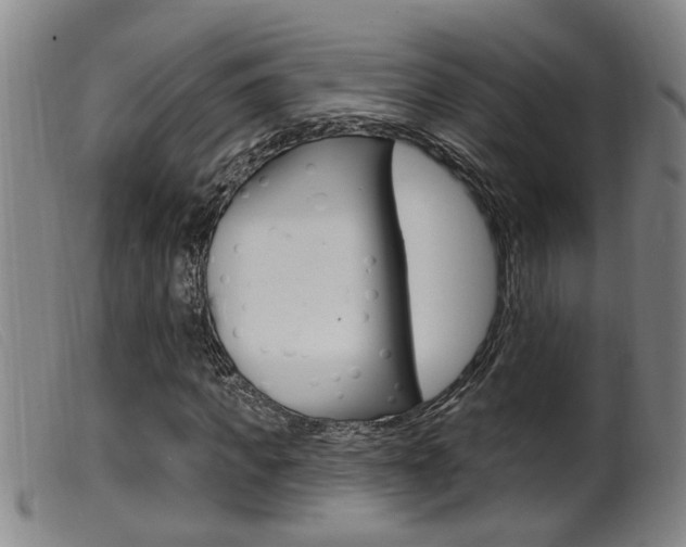X0000099950917200805230958