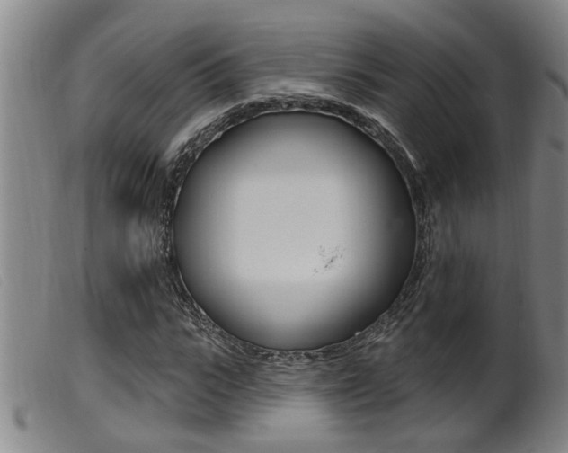 X0000099950919200805230958