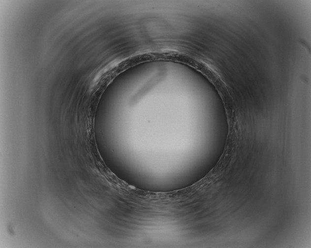 X0000099950920200805230958
