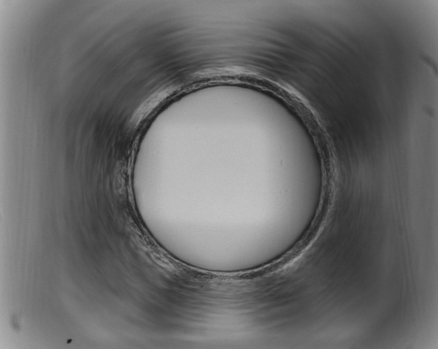 X0000099950921200805230958