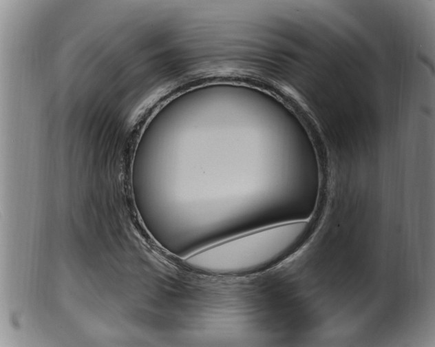 X0000099950922200805230958