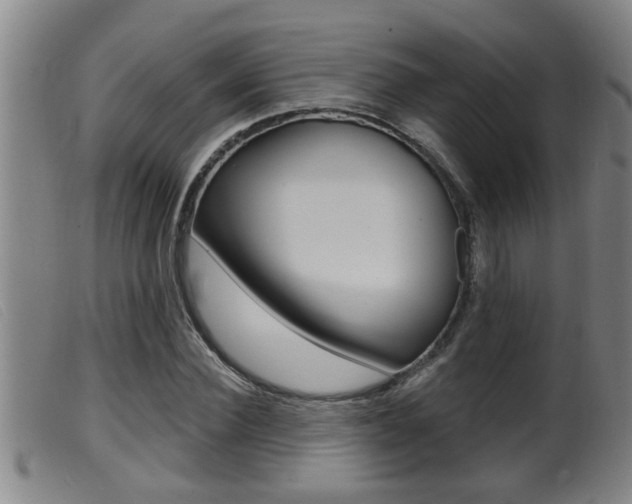 X0000099950924200805230958