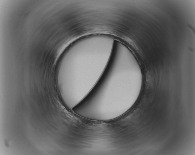 X0000099950926200805230958