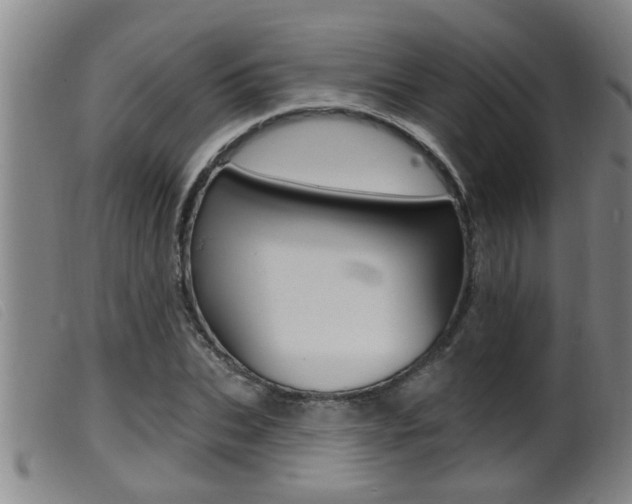 X0000099950927200805230958