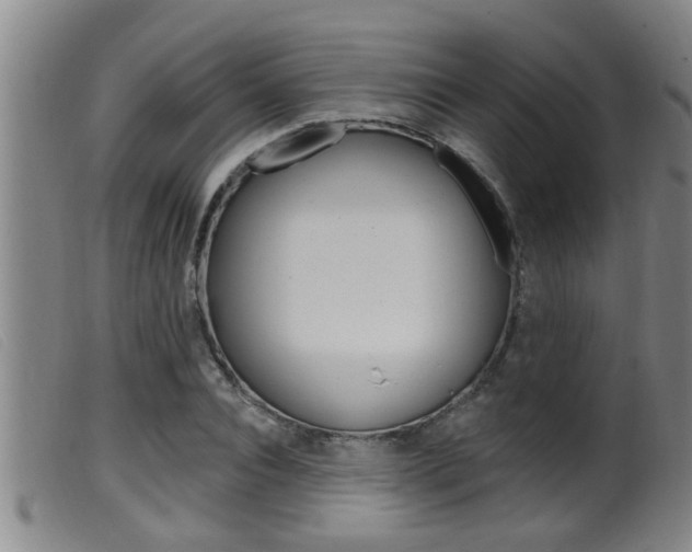 X0000099950928200805230958