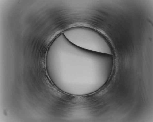 X0000099950929200805230958