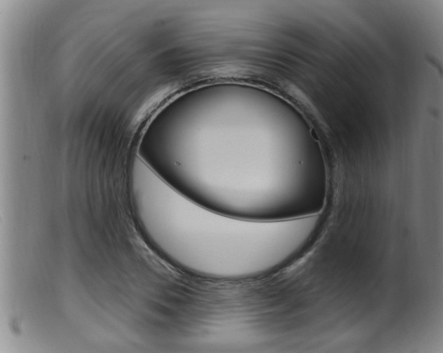 X0000099950930200805230958