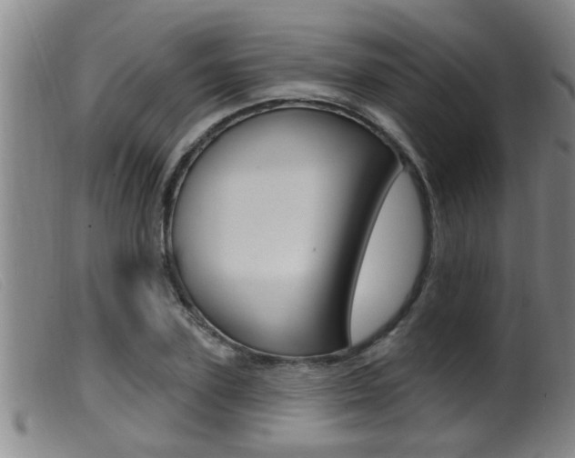 X0000099950931200805230958