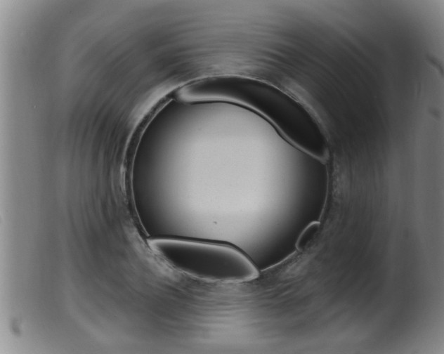 X0000099950932200805230958