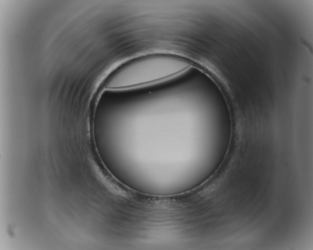 X0000099950934200805230958