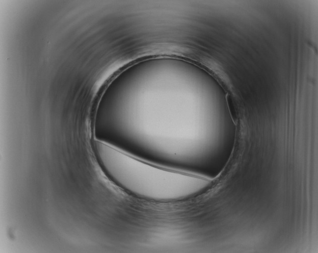 X0000099950936200805230958