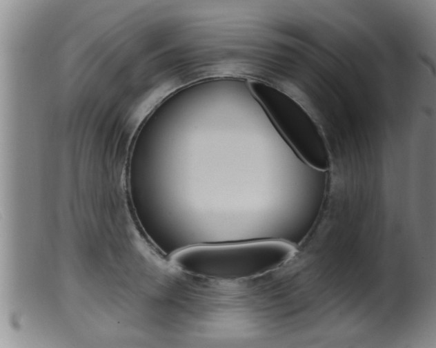 X0000099950946200805230958