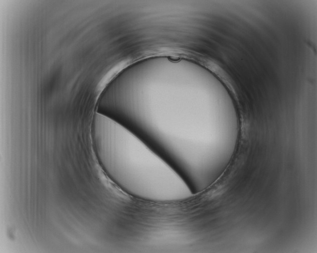 X0000099950954200805230958