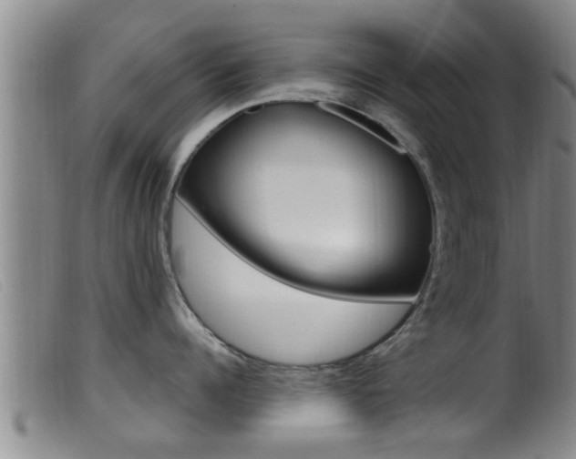 X0000099950960200805230958