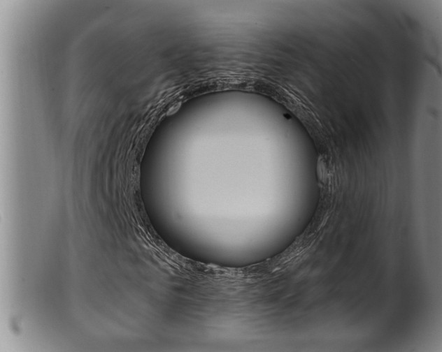 X0000099950961200805230958